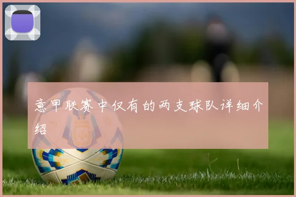 意甲联赛中仅有的两支球队详细介绍