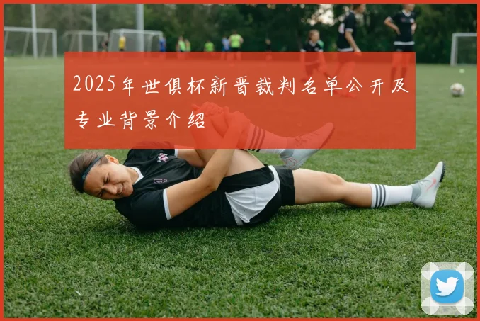2025年世俱杯新晋裁判名单公开及专业背景介绍