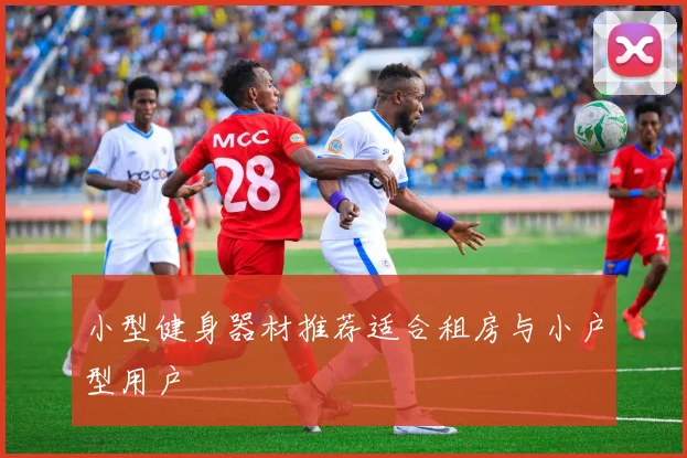 小型健身器材推荐适合租房与小户型用户